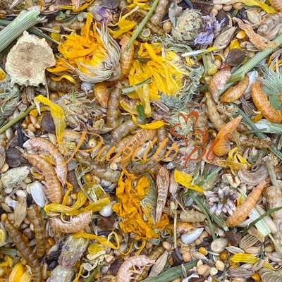 Mixerama Zwerghamster Zwergenzauber 2500g