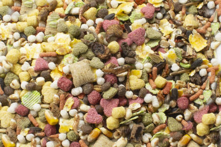 JR Farm uczta dla szczura 600g