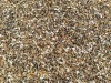 Nature Farm Gryzoniowe Nasionka 150g