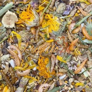 Mixerama Zwerghamster Zwergenzauber 500g karma dla chomika karłowatego