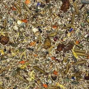 Futterparadies Stachelmaus 2500g