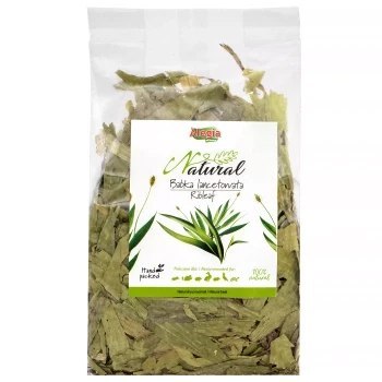 JR Farm Liście "Jagód" 100g