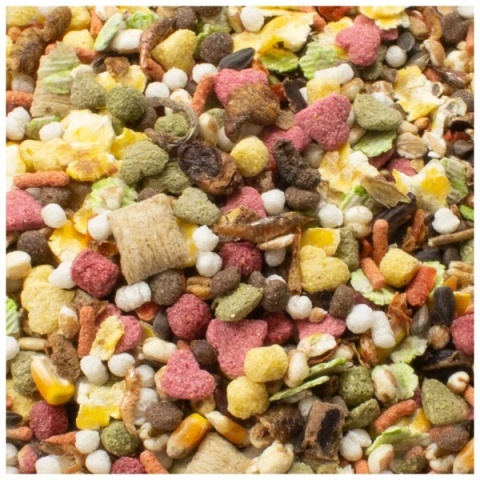 JR Farm Uczta dla szczura 2,5kg