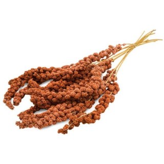 JR Farm proso czerwone w kłosach /250g/