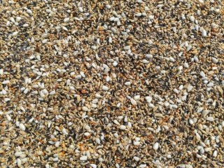 Nature Farm Gryzoniowe Nasionka 150g
