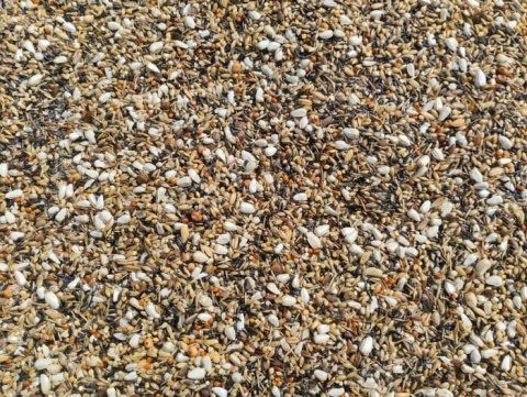 Nature Farm Gryzoniowe Nasionka 150g