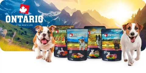 Ontario karma mokra dla psa 100g /kurczak, chrząstki wieprzowe w rosole/