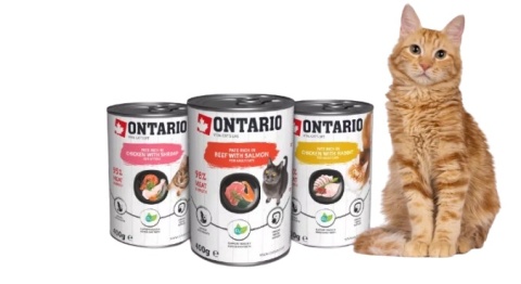 Ontario mokra karma dla kociąt 400g /kurczak, krewetki/