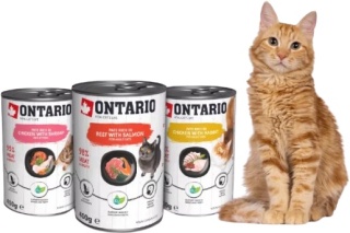 Ontario mokra karma dla kociąt 400g /wołowina, łosoś, spirulina/