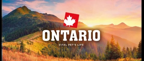Ontario pasta mięsna dla kota 90g /jagnięcina/