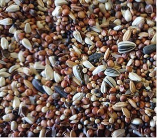 Pupillo Mieszanka nasion dla gryzoni 200g